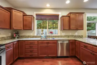 Gorgeous granite counters and cabinets