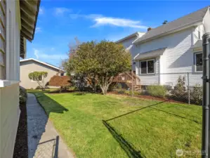 Mature brush and trees adorn this yard.