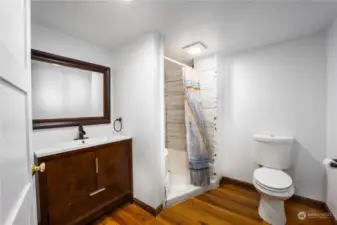 Primary bathroom on basement level