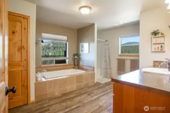 Primary Bath