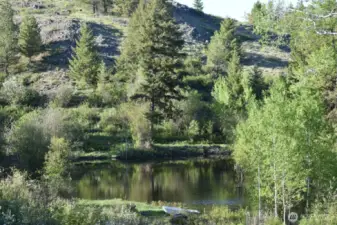 2 Year round ponds