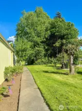Walkway towards front door