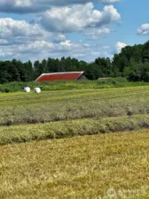 View of old classic barns never grows old.