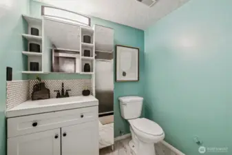 Lower level bathroom with shower