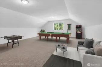 Perfect space for game room, extra bedroom, theatre room - the options are endless.