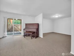 Additional bonus space of rec room.