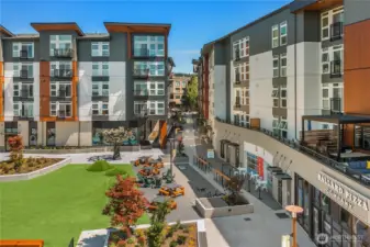 The Schoolhouse District