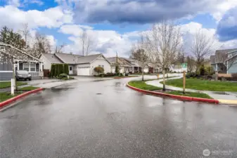 Quiet neighborhood street view
