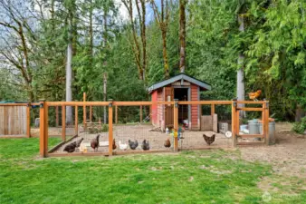 Amazing chicken coop, the start of your new HOBBY FARM.