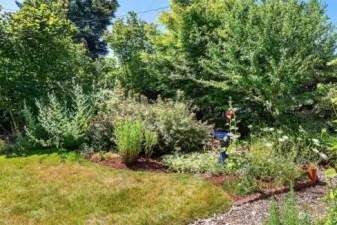Gardeners will appreciate the mature shrubs and plants that abound on this property.