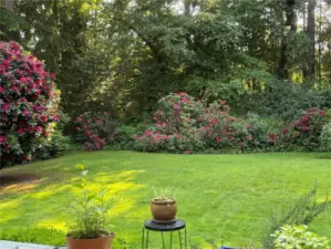 The idyllic, wooded retreat is so peaceful.