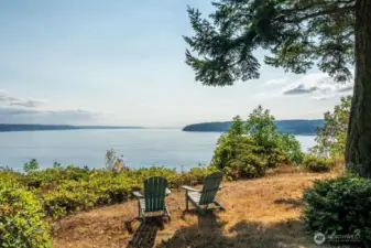 Watch ferries, whales, boats, eagles in your own sanctuary
