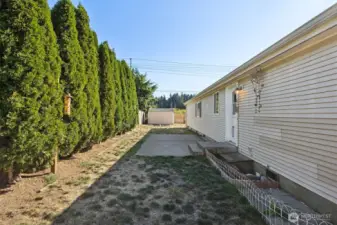 large backyard