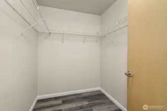 connected to the primary bathroom is a large walk-in closet.