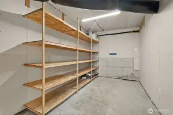 One of two of the additional storage rooms located in the basement. It's been used for storage. The room has its own door and light switch.