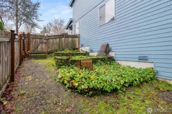 The side yard offers a variety of uses. Great for a fire pit and more.