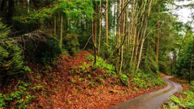 Potential access point off Allview Blvd NE