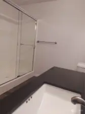 primary suite bathroom with large shower