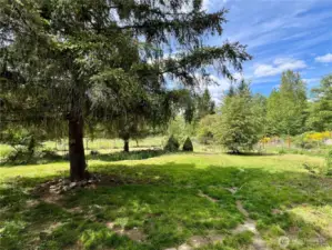 This photo captures the peaceful view from the front patio, looking out over the property’s expansive acreage with serval fruit and nut trees. Imagine sipping your morning coffee while taking in the open space, mature trees, and natural beauty right from your doorstep.