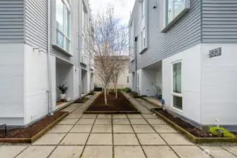 Courtyard to your front door