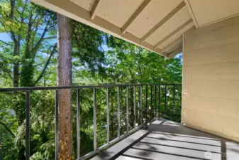 Private and peaceful views of trees and mountains