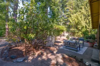 Back patio is surrounded by lovely, native plants.