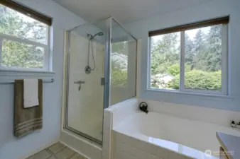5 piece primary bathroom