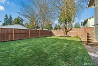 Fully fenced yard