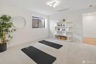 Bonus room great for office/workout/craft space