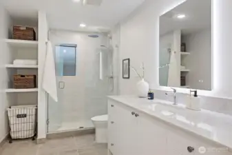 Lower level bathroom