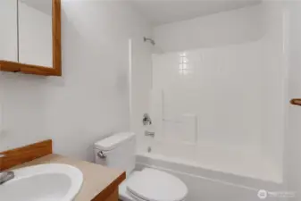 Hallway Bathroom