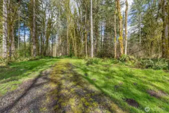 Peaceful driveway to future home.