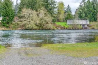 You have arrived at one of the best spots on the Cowlitz River.