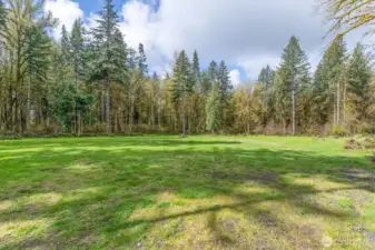 Trees line the remainder of the property lines creating nice buffer between neighbhors.
