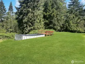Pool hasn't been used or serviced in years but could still be plenty of fun this summer!  virtually enhanced grass.