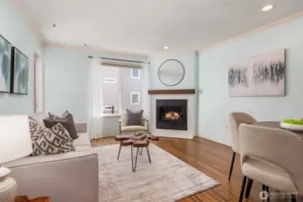 Gas Fireplace Insert