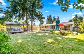 large back yard