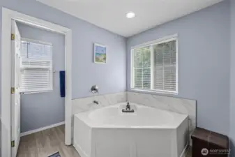 Relax in the bathtub while enjoying the natural light!