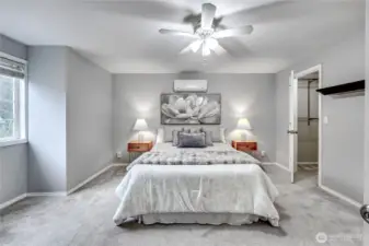 Large and Light Primary