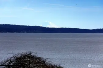 View of Mt. Rainier.. you should see it at sunrise!