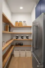 Large pantry perfect for both storage and small appliances.