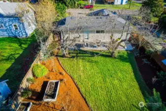 West facing yard gets tons of light