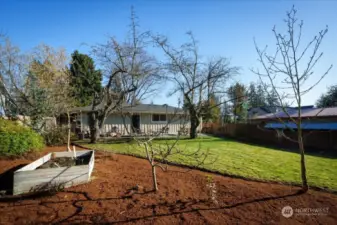 Back yard offers lots of space to garden, gather, BBQ, etc