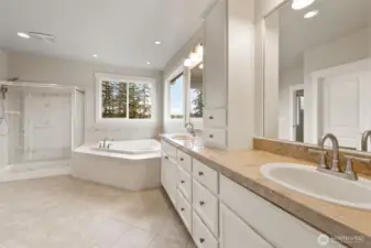 Massive bathroom in primary bed