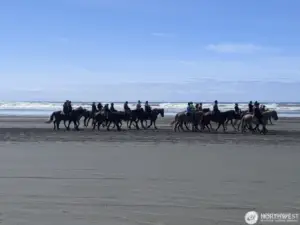 Horseback riding on the beach