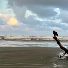 Birdwatching or beach combing the possibilities are endless