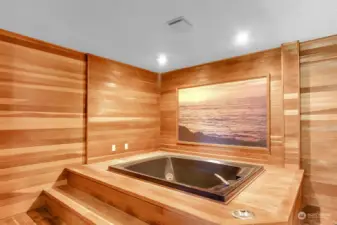 Indoor hot tub room with wood paneling
