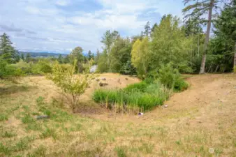 View of the seasonal pond which neighbors the lavender hillside