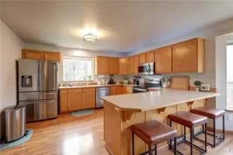 The kitchen is large with plenty of room to move around.  Eating bar is super convenient. Stainless steel appliances.  The dishwasher is new and super quiet!