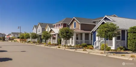 Tree lined streets